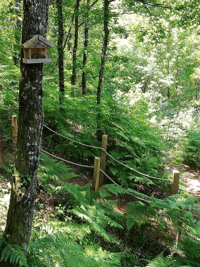 Camping Les Du Duzou